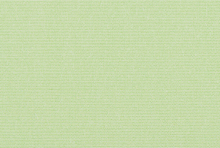 Klaiber Classics Uni 24 908