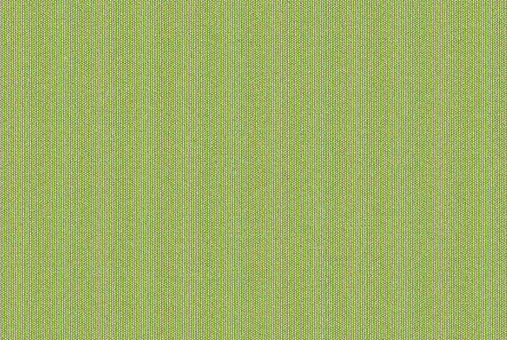 Klaiber Classics Uni 24 646