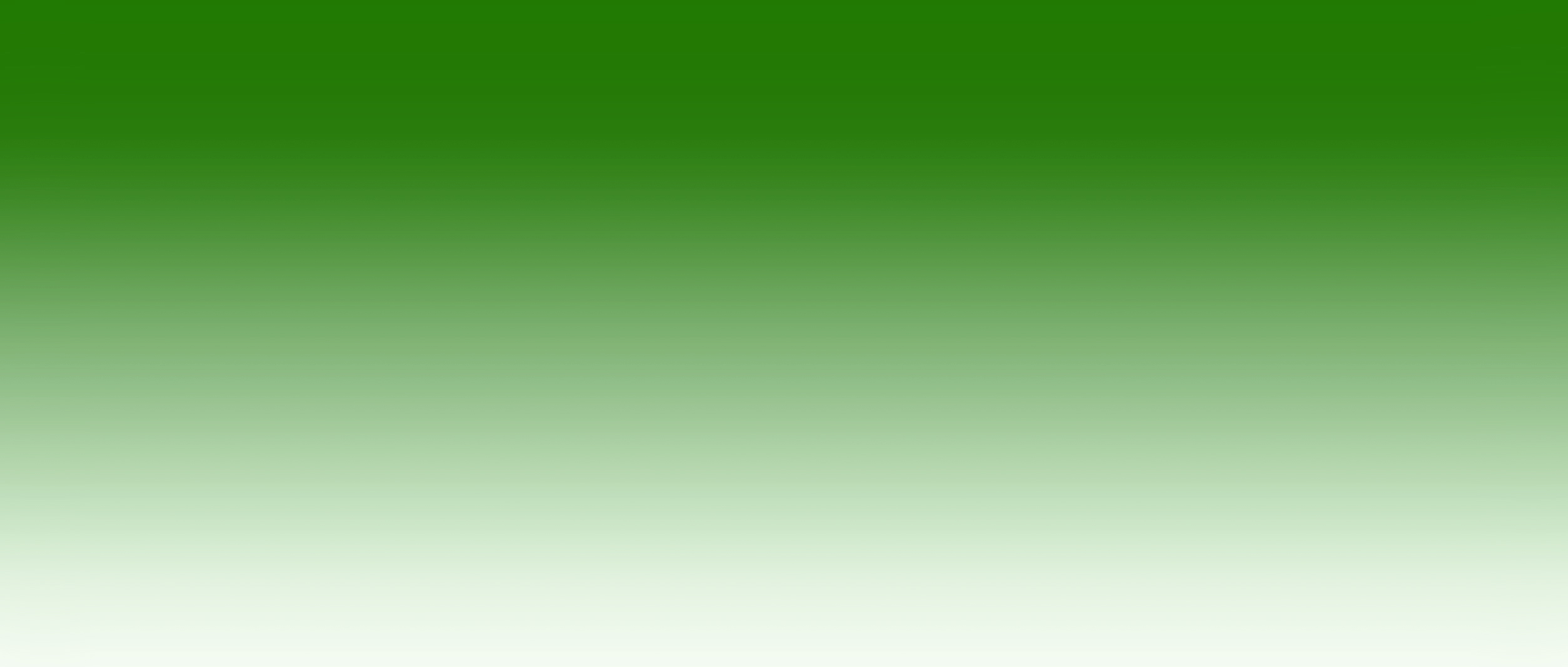 Blumeyer-Headergrafik-4.jpg